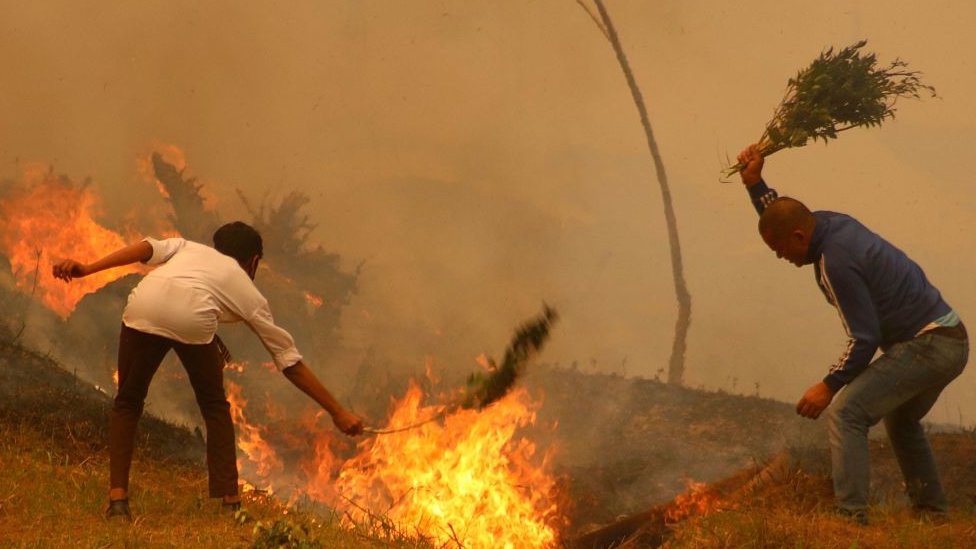 Forest Fire Incidents Reported in Uttarakhand, Firefighting Teams on High Alert