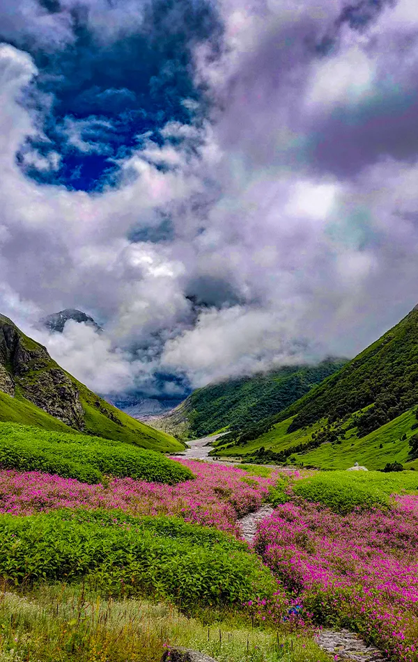 Best Time to Visit Dehradun – A Complete Seasonal Guide