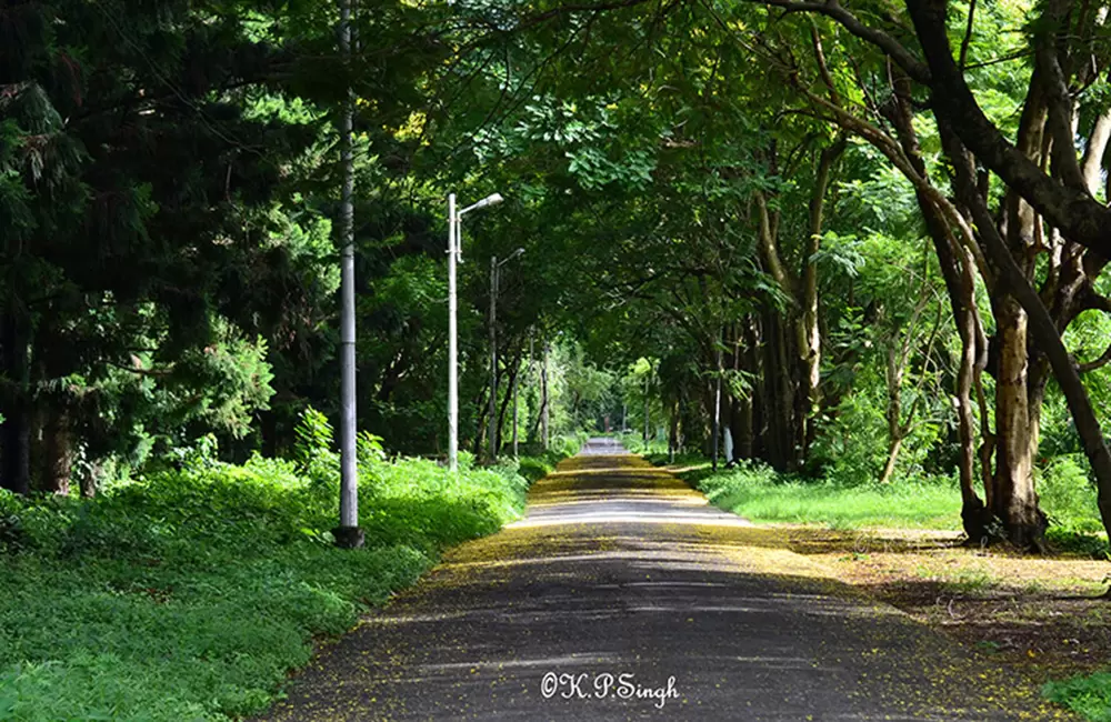 Forest Research Institute – The Pride of Dehradun